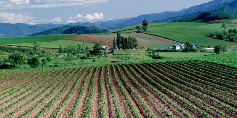 Seguro Rural
